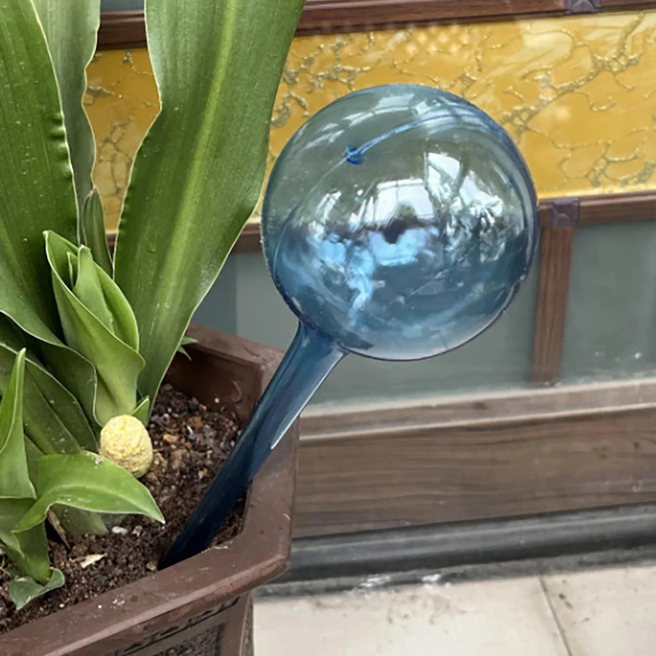 Sb383eb5e4f4b4a119d1dac0c315089e9T