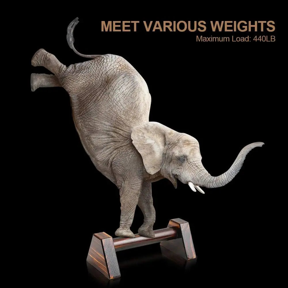 Sd056b7a9514c4d1bbdb7d3ca38052508G